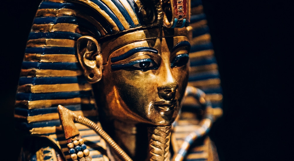 TUT-EXHIBITION-Coffinette-1-Credit-IMG