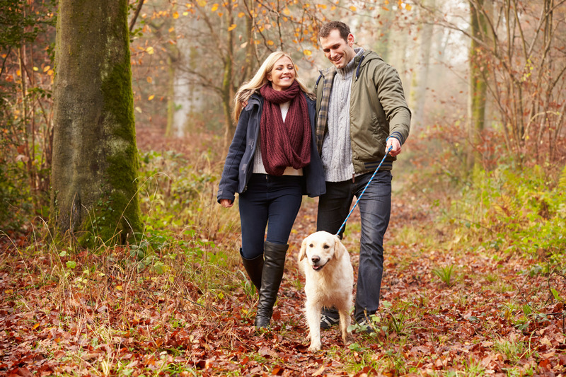 Couple Walking Dog Through Winter Woodland