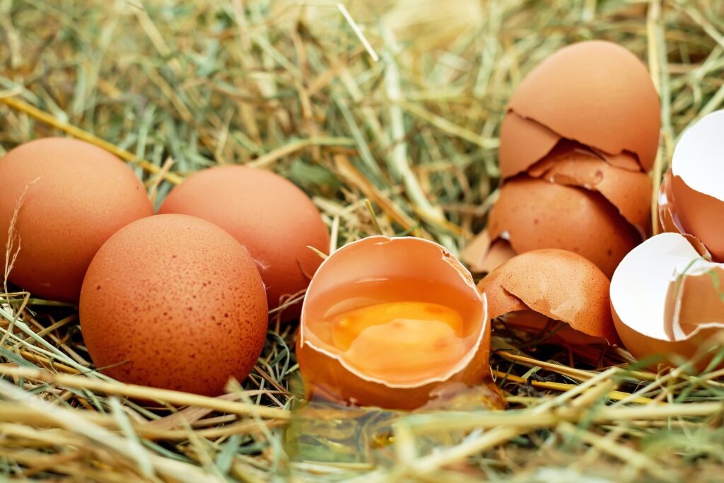 eggs-gd1798a5d4_1920-1024×683