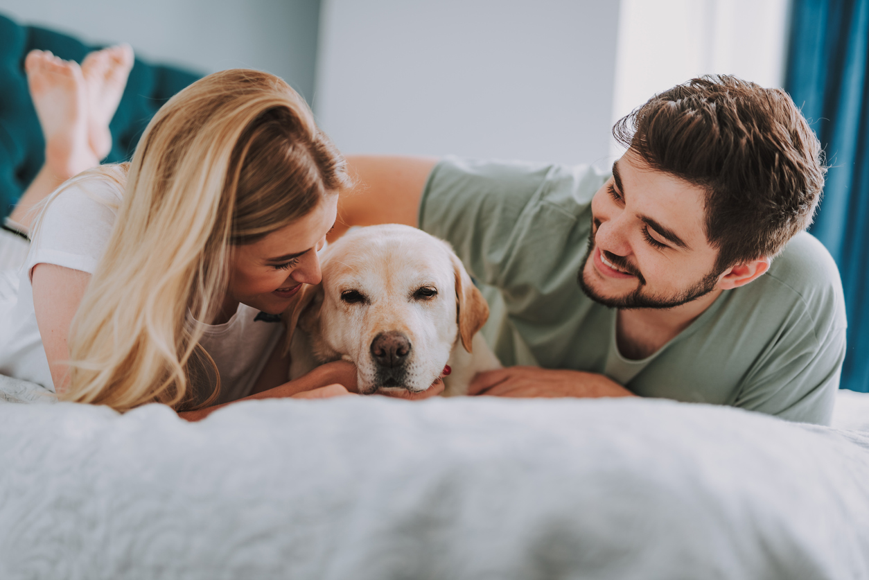 Joyful young couple resting with their dog