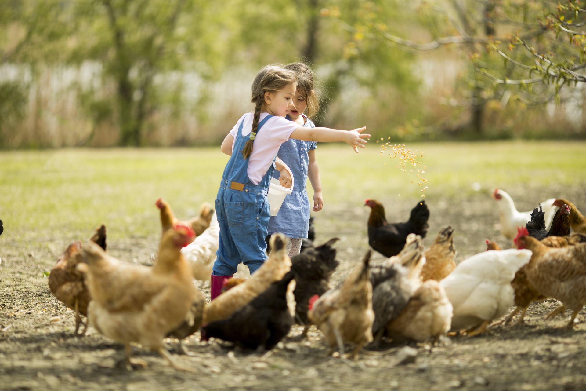 enfant-ferme-Goran-Bogicevic-1920-shutterstock