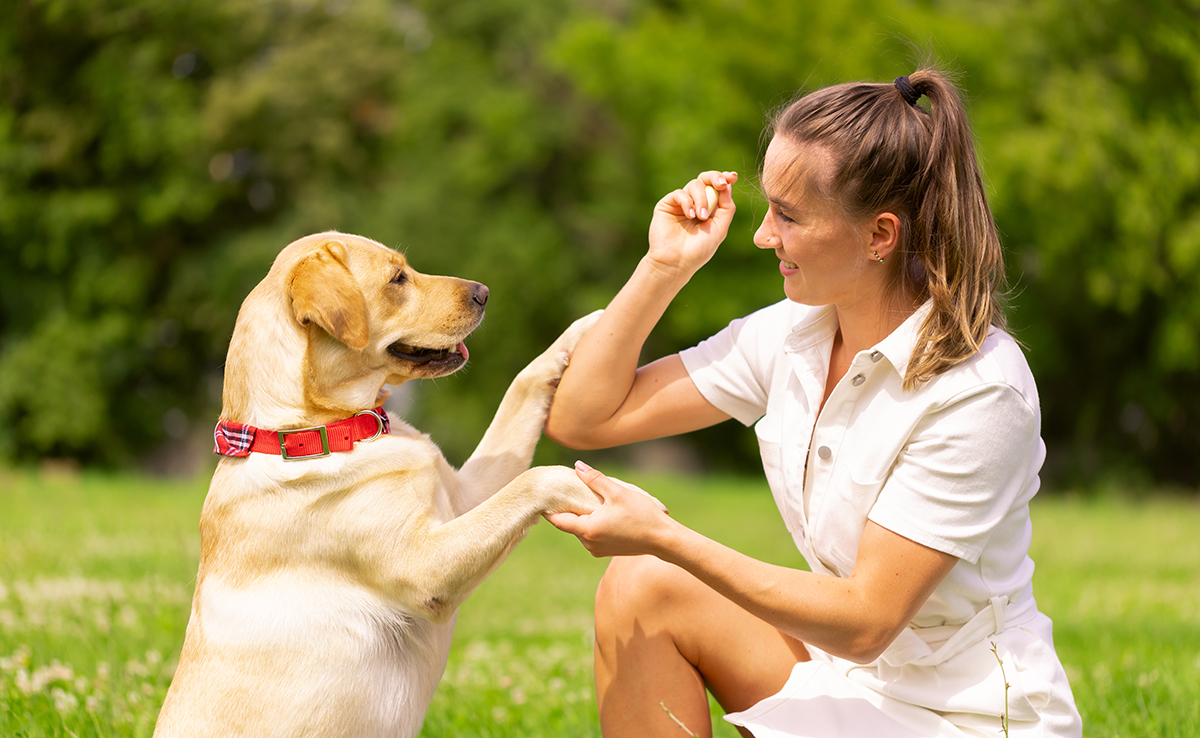 communiquer-avec-son-chien-062700