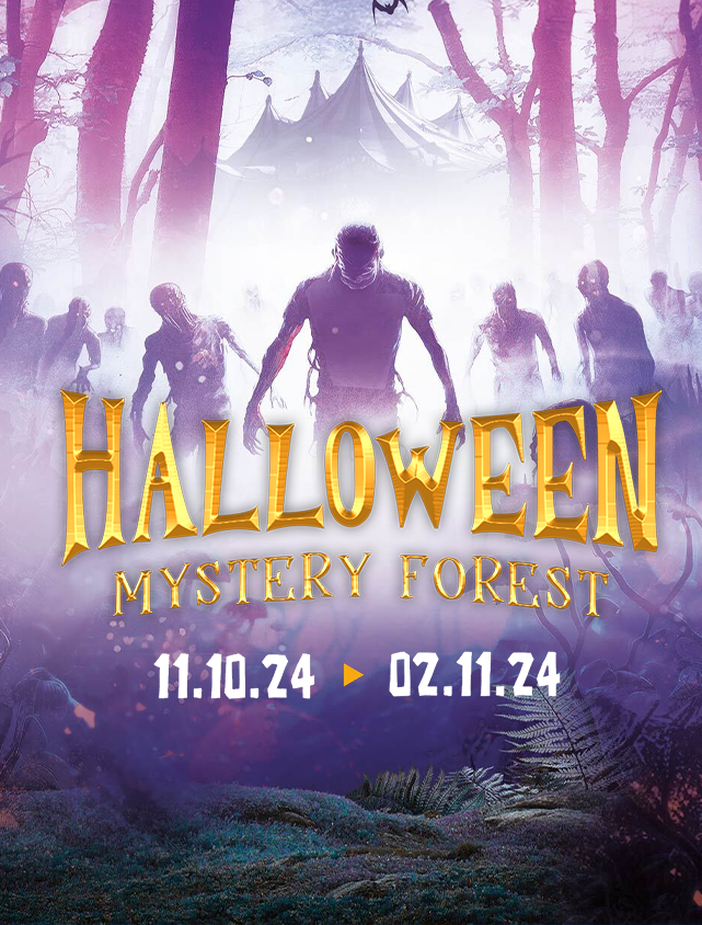 Halloween Mystery Forest_app